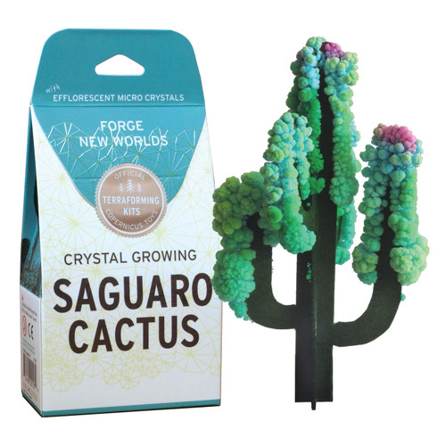 An image of a Copernicus Saguaro Cactus Growing Crystals Kit.