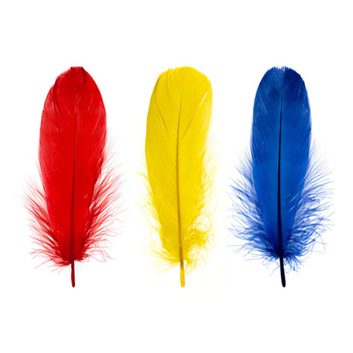 An image of John Bead Goose Feathers.