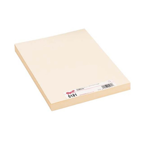 An image of Pacon Tag Board.