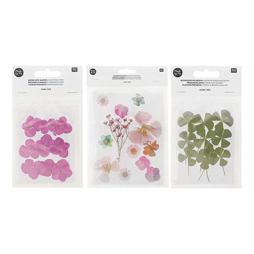 An image of Rico Design Pressed Flowers.